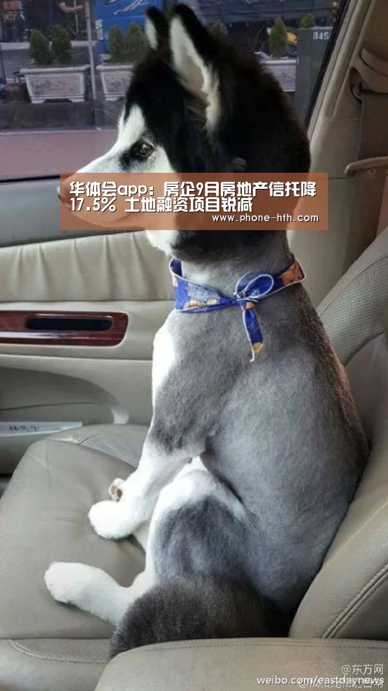 华体会app:房企9月房地产信托降17.5% 土地融资项目锐减(图3) 华体会app