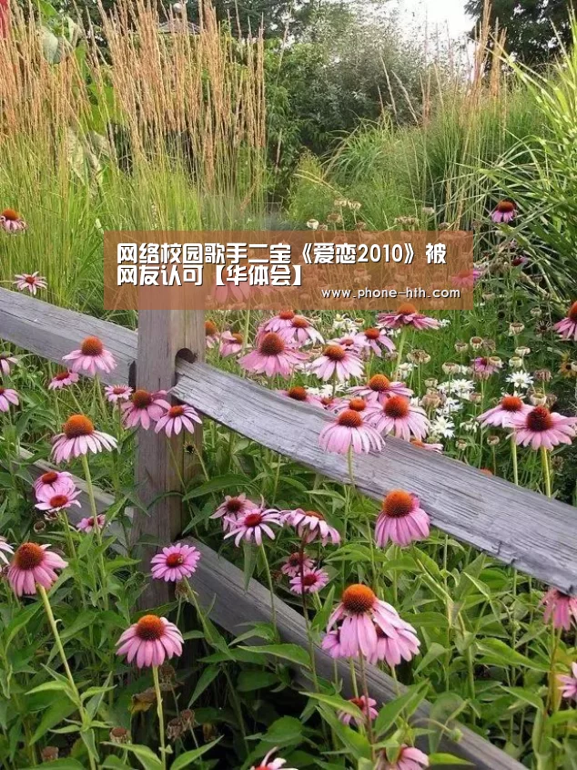 网络校园歌手二宝《爱恋2010》被网友认可【华体会】(图1)