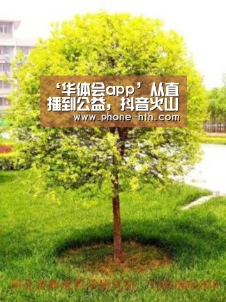 华体会